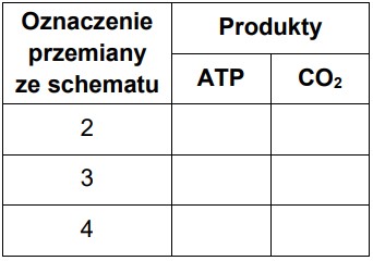 Zadanie Zadanie Arkusz Maj Z Odpowiedzi Kursy Maturawpr Pl