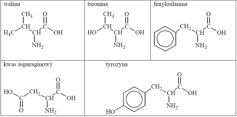 Image 26 3 - Poniżej przedstawiono nazwy oraz wzory pięciu aminokwasów białkowych. Budowę ich cząsteczek można zilustrować ogólnym wzorem